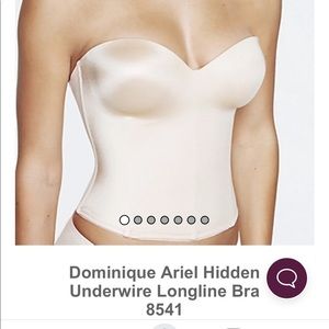 Dominique Ariel Hidden Underwire Longline Bra 8541 Corset Shapewear NWT